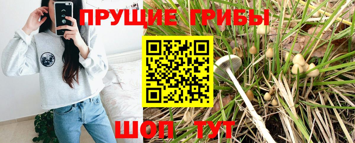 Псилоцибиновые грибы мухоморы Азнакаево